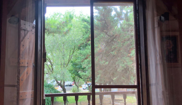 WhatsApp Image 2025-07-22 at 18.15.26 2.jpeg